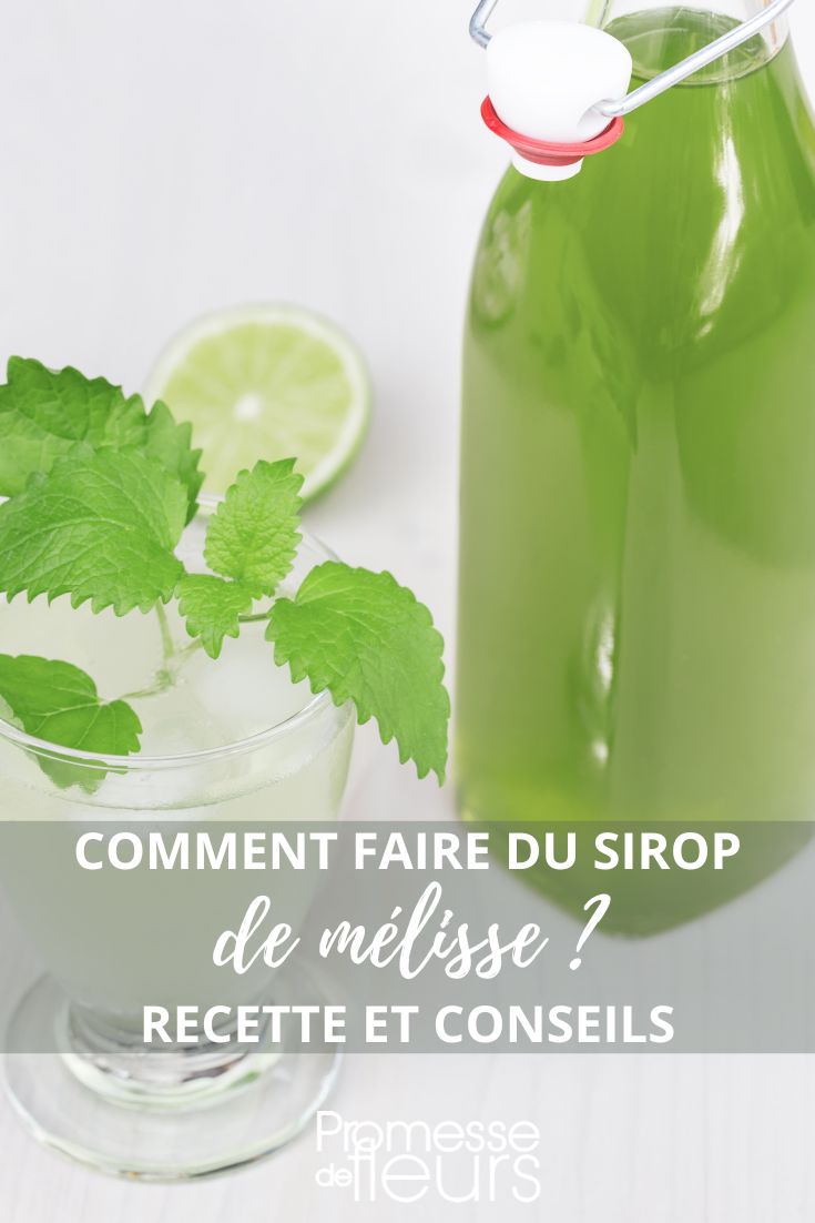 Hausgemachtes Melissensirup-Rezept