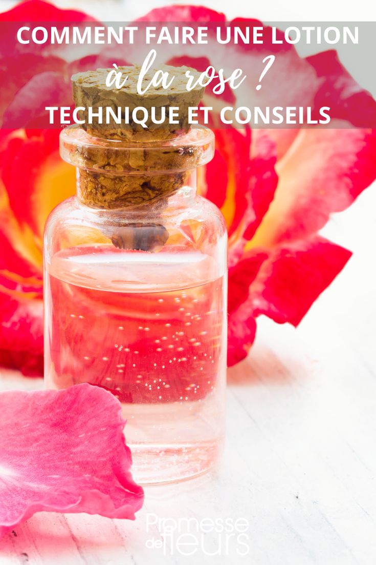 Rosenwasser und Rosenlotion