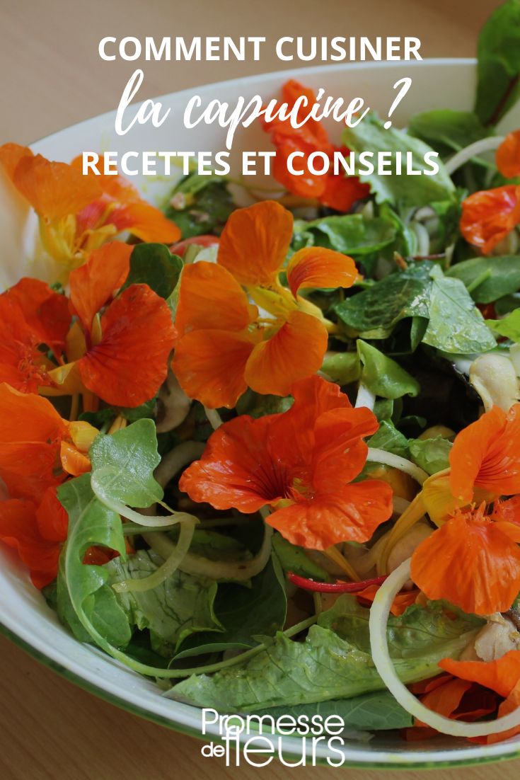 Kapuzinerkressen-Blüten im Salat