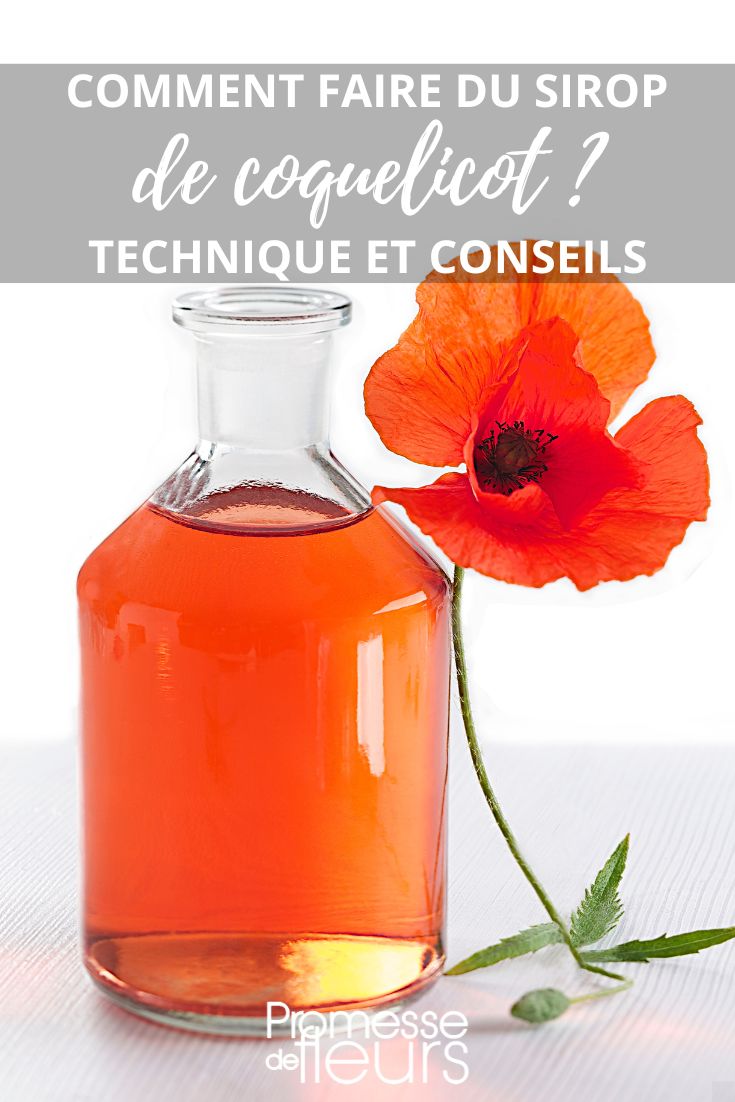 Rezept für Mohnblütensirup