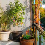 Balkon nach Osten gestalten: unsere Tipps