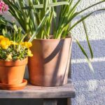 Tipps zur Gestaltung eines Westbalkons