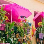 Südbalkon gestalten: Tipps und Tricks