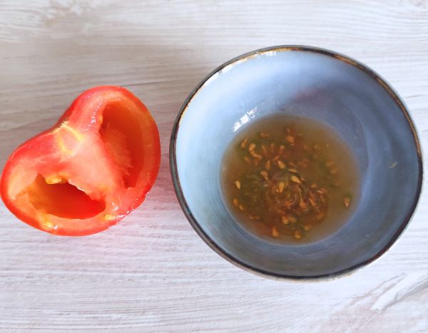Tomatensamen ernten und lagern?