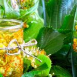 Frische Linde: vielseitiger Naturhelfer