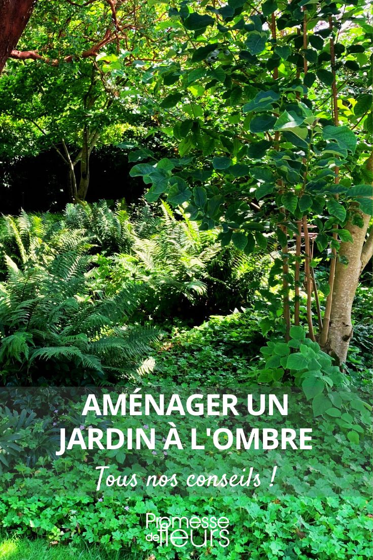 Schattengarten Gestaltung Gartengestaltung