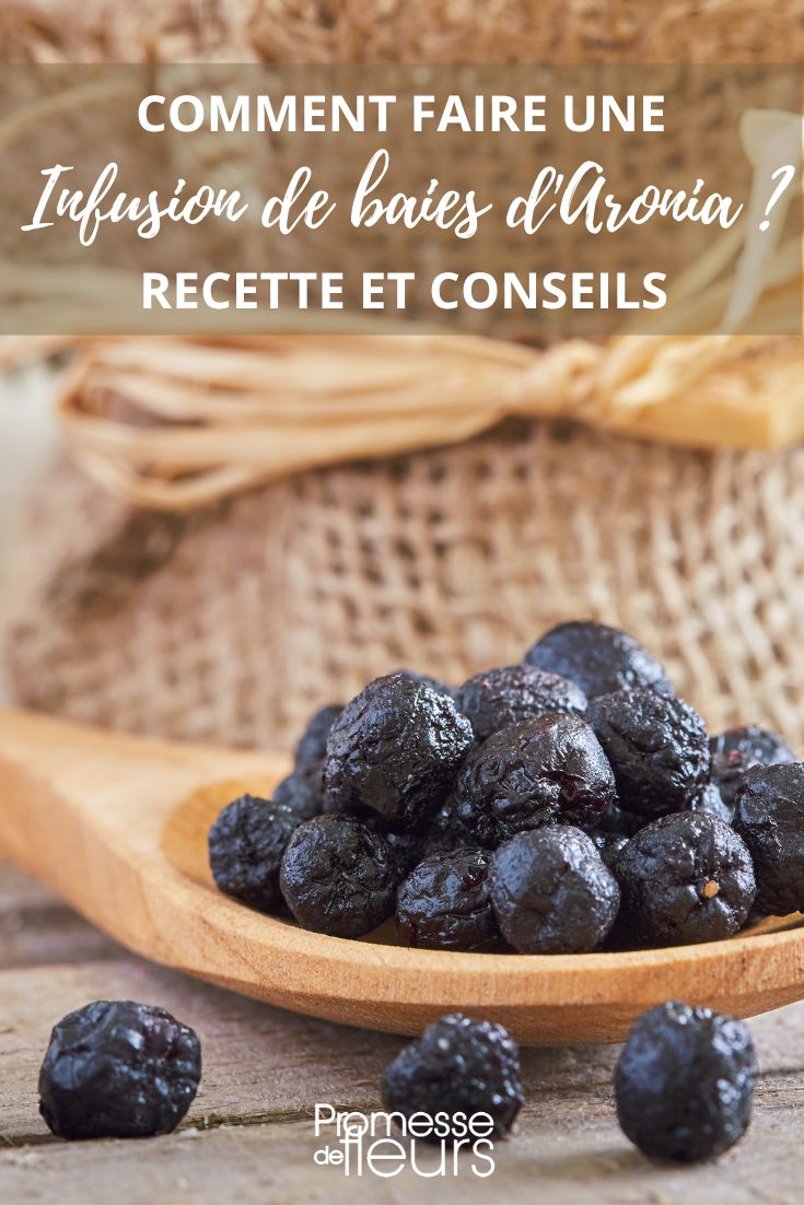 Aronia-Tee