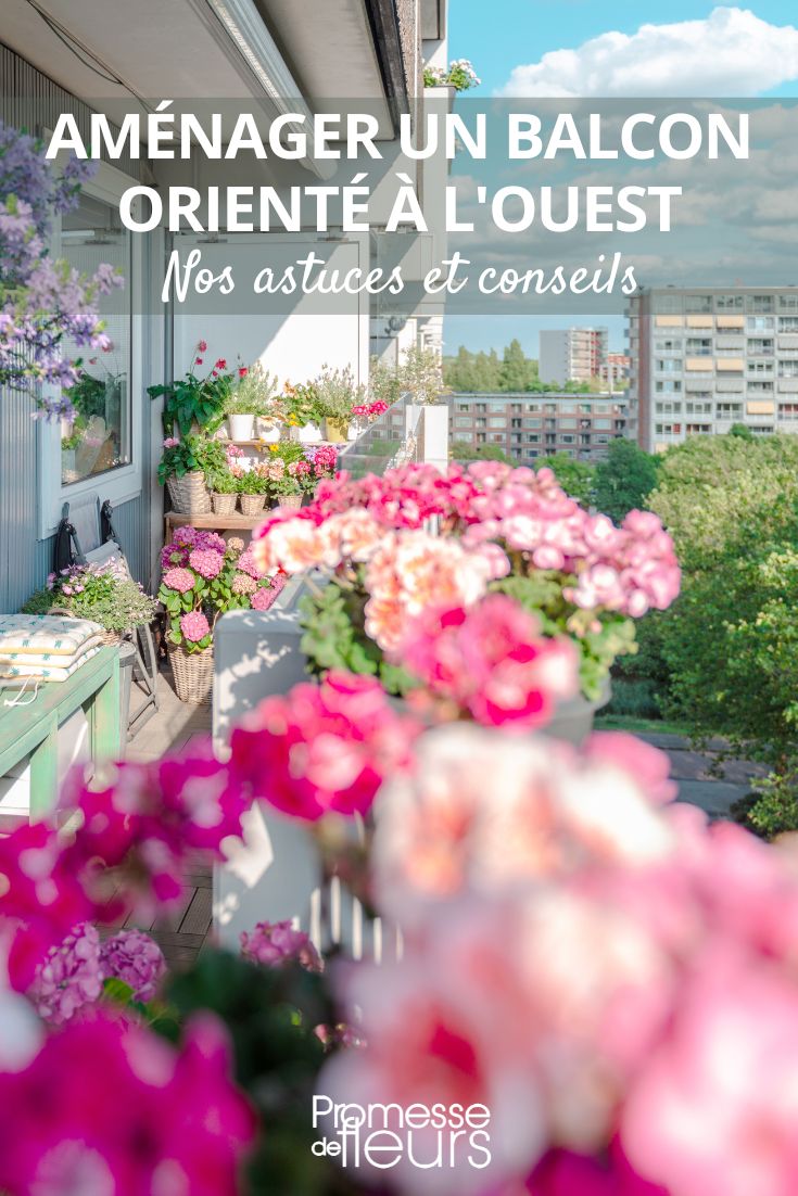 Tipps für einen nach Westen ausgerichteten Balkon