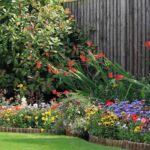 Garten mit Westlage gestalten?