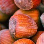 Haselnuss: Anbau, Ernte und köstliche Rezepte