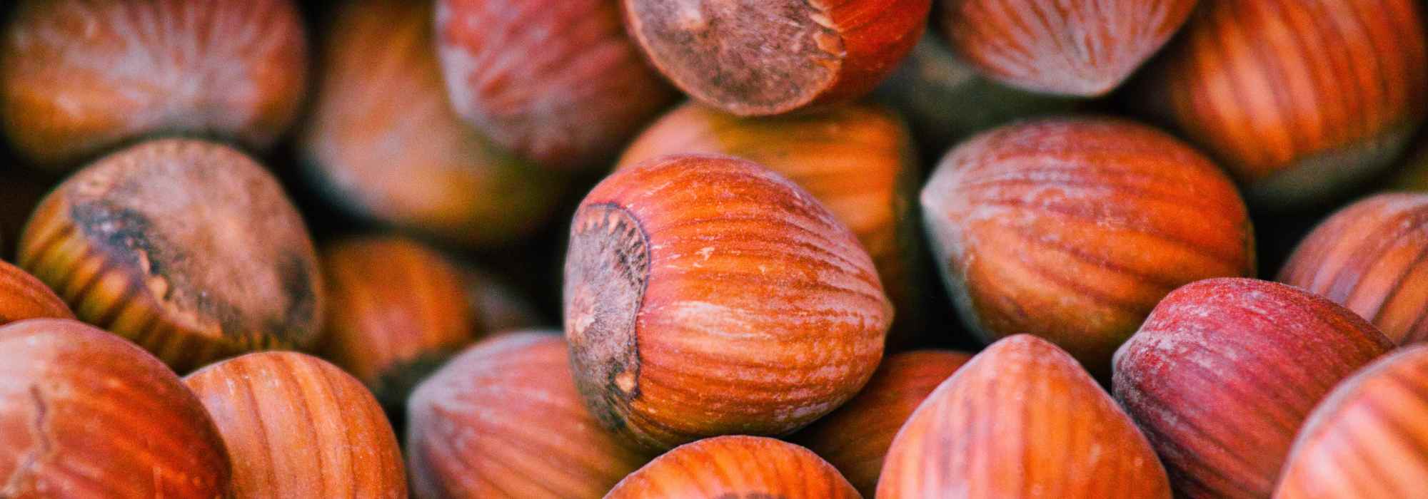 Haselnuss: Anbau, Ernte und köstliche Rezepte