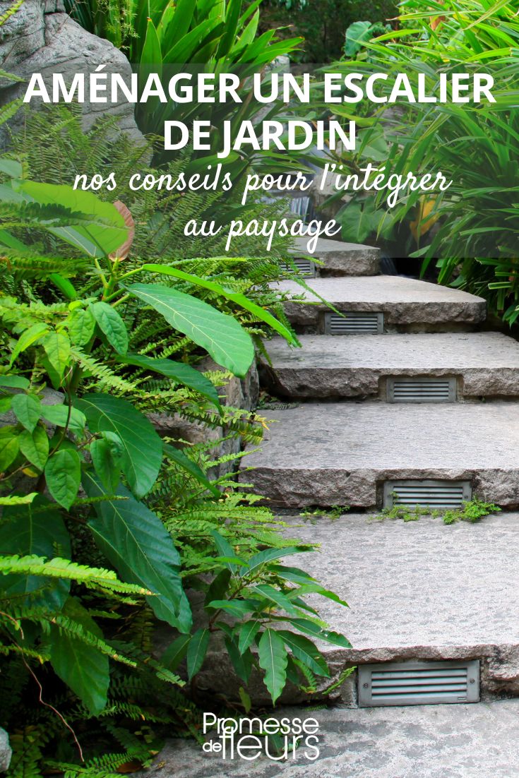Eine Treppe im Garten: Pflanzenauswahl und Gestaltungsideen