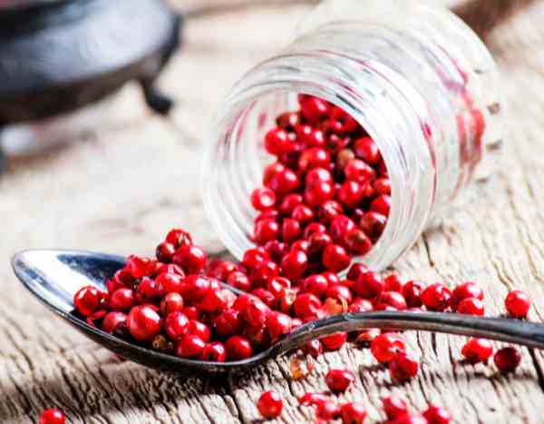 Rosa Pfefferbeeren: ernten, lagern, verwenden?