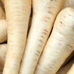 Krankheiten und Schädlinge der Pastinake