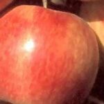 7 beste Äpfel zur langen Lagerung
