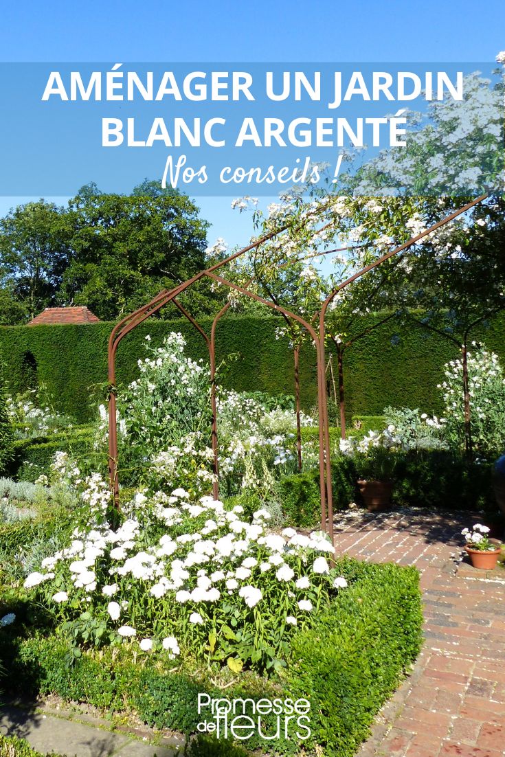 Einen Garten mit weißen Blüten anlegen
