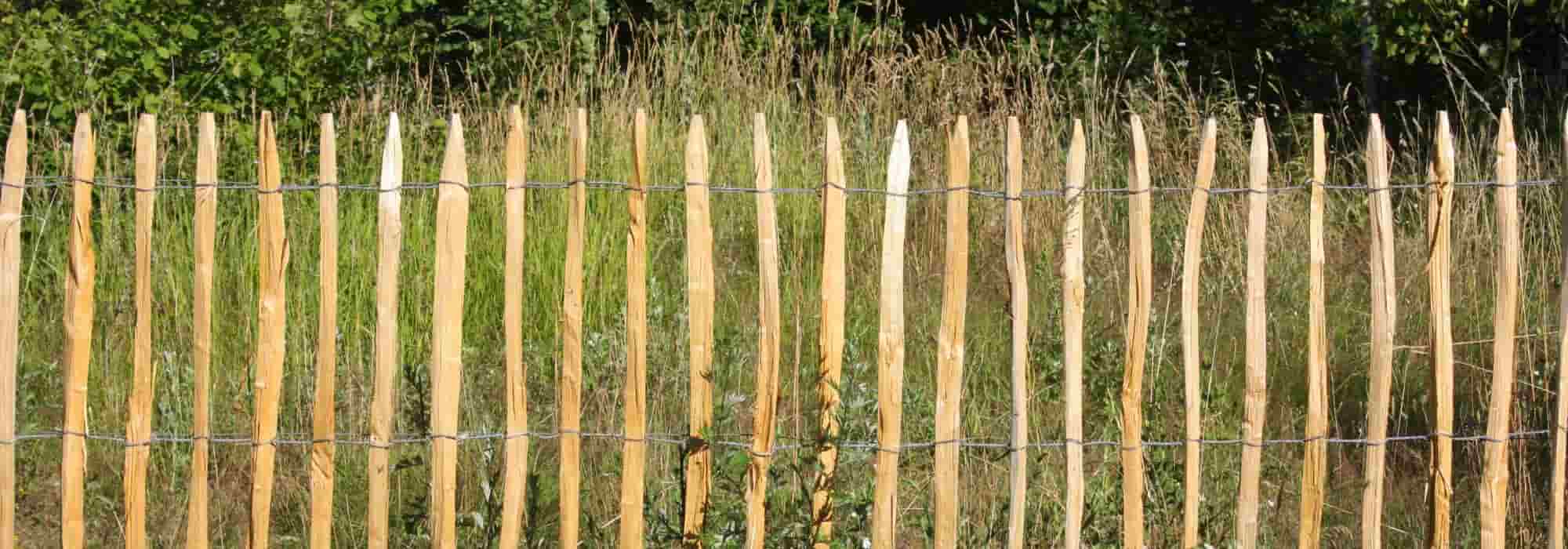 Garten günstig einzäunen?