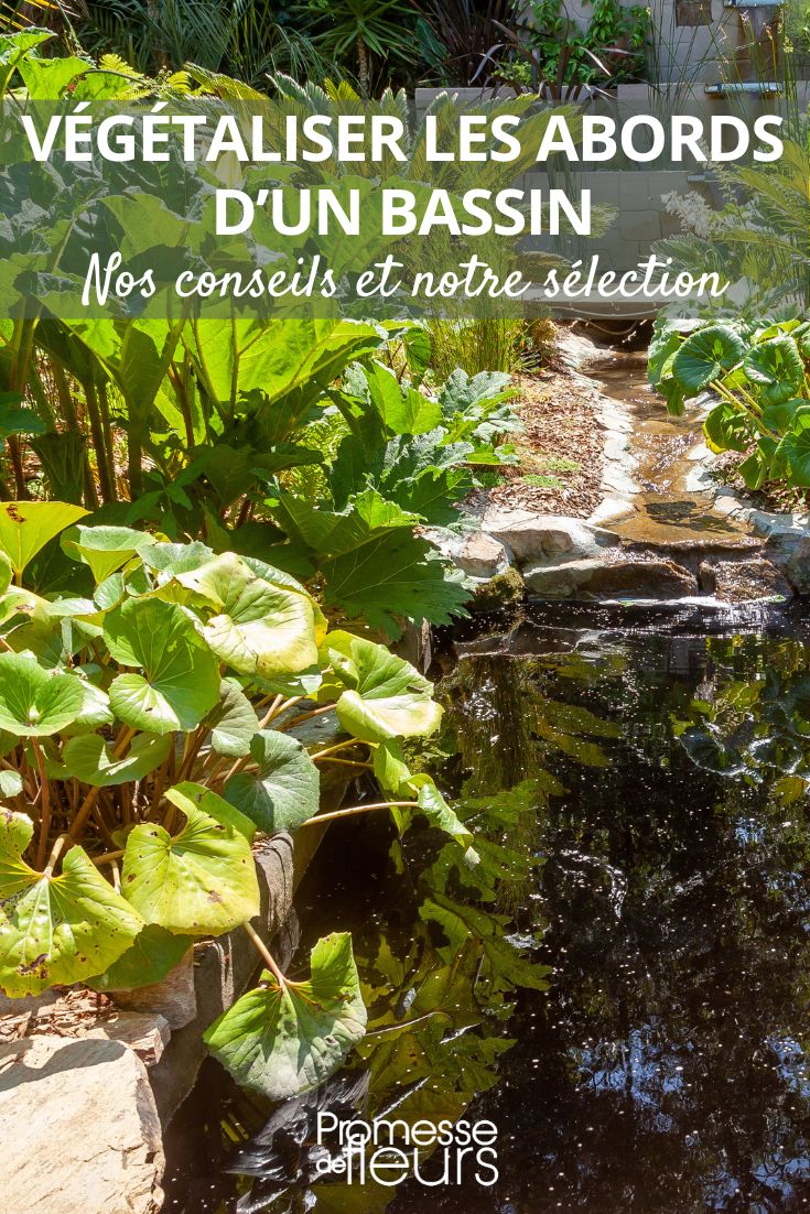 Die Umgebung eines Gartenteichs gestalten