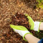 Garten für Anfänger: In 5 Schritten mulchen