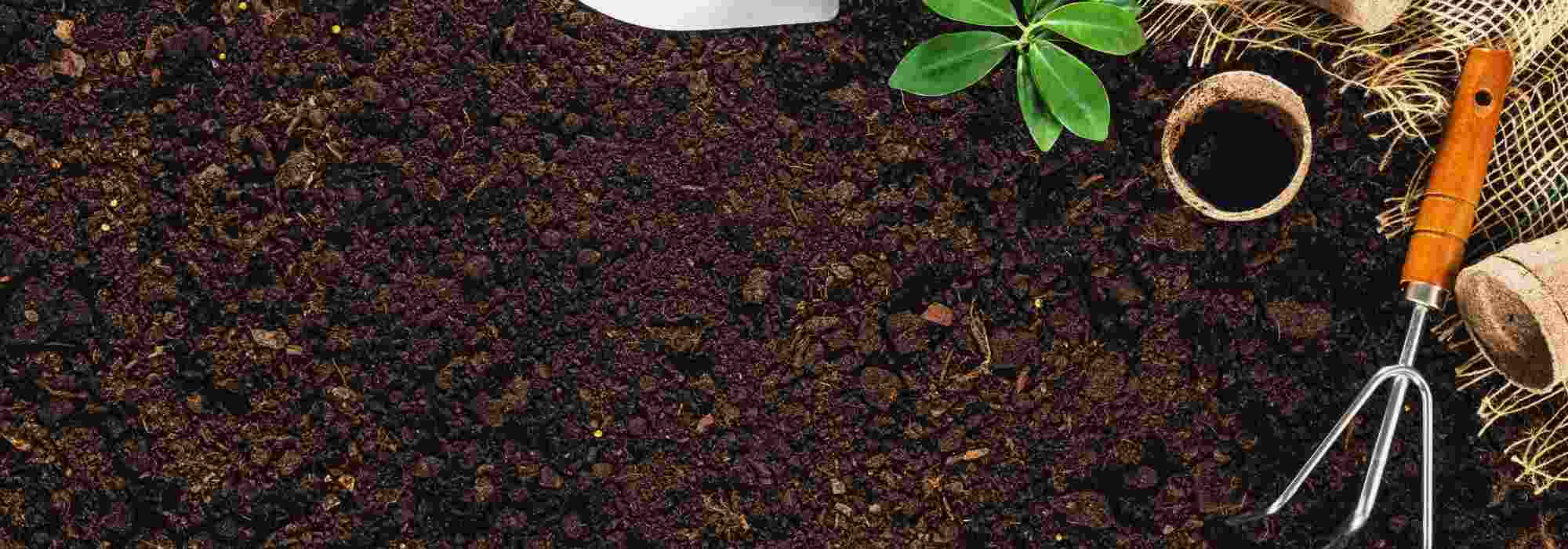 Bodenvorbereitung im Frühling: wichtige Gartenarbeiten