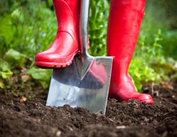 Garten für Anfänger: Umgraben – was ist das, wie geht's?