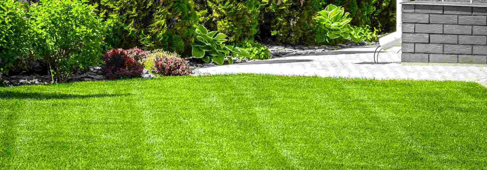 Rasenpflege im Frühling: die wichtigsten Tipps?