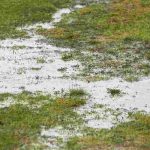 Drainage im Gartenboden: alles Wichtige