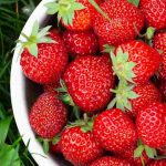 Erdbeeren natürlich düngen?