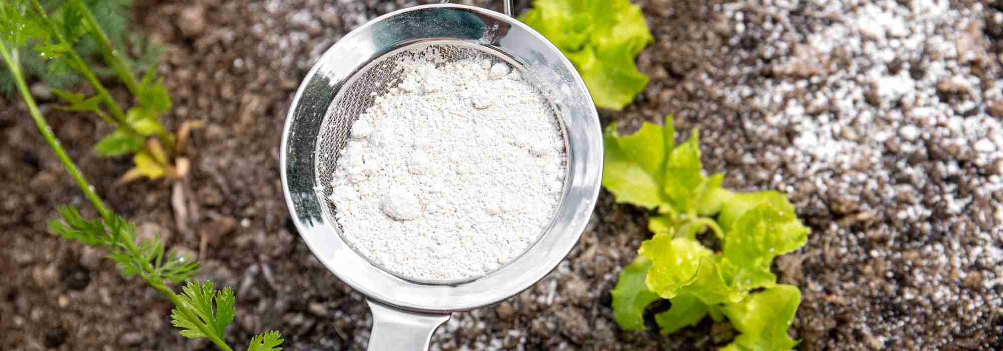 Diatomeenerde im Garten anwenden?
