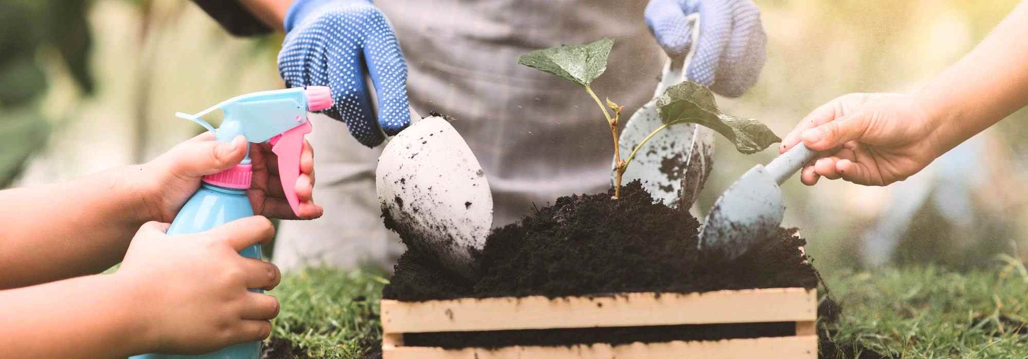 Mit Kindern einen Gemüsegarten anlegen: Gemeinsam lernen und Spaß haben!