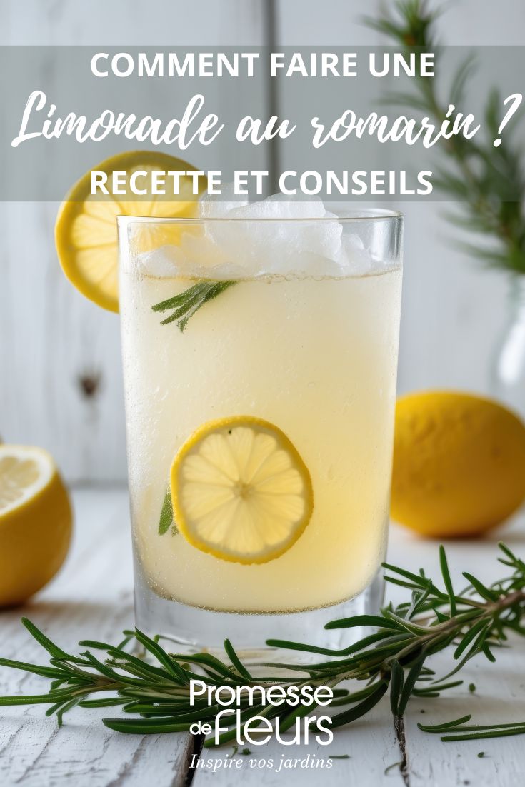 Rezept für Zitronen-Rosmarin-Limonade