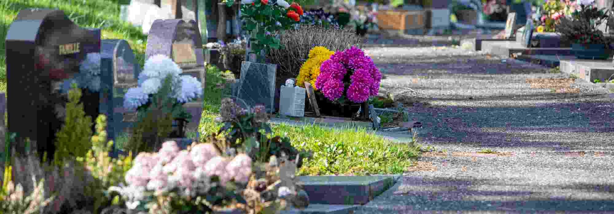 Robuste Friedhofspflanzen: Was im Topf?
