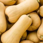 Moschus-Kürbis anbauen: unsere Tipps