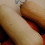 Bisam-Kürbis vs. Riesen-Kürbis: Beet & Küche