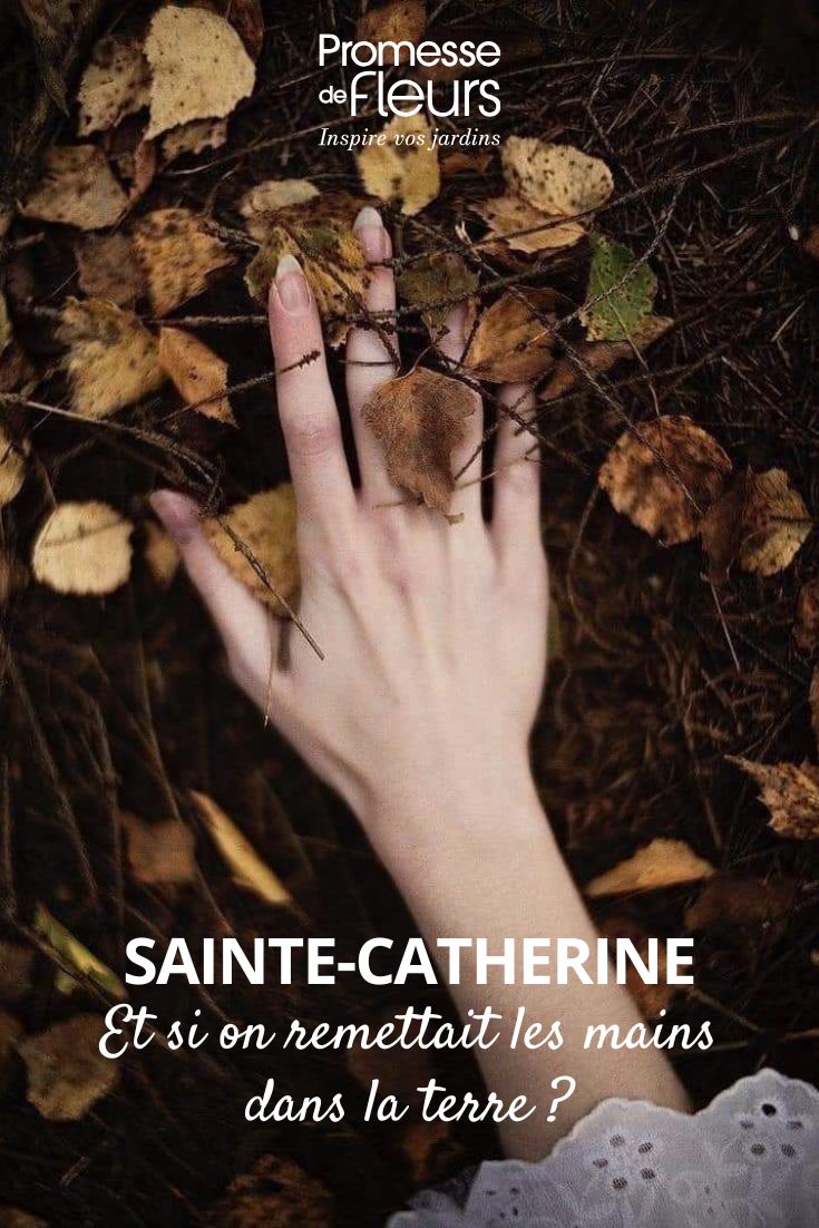 Gärtnern zu Sankt Katharina