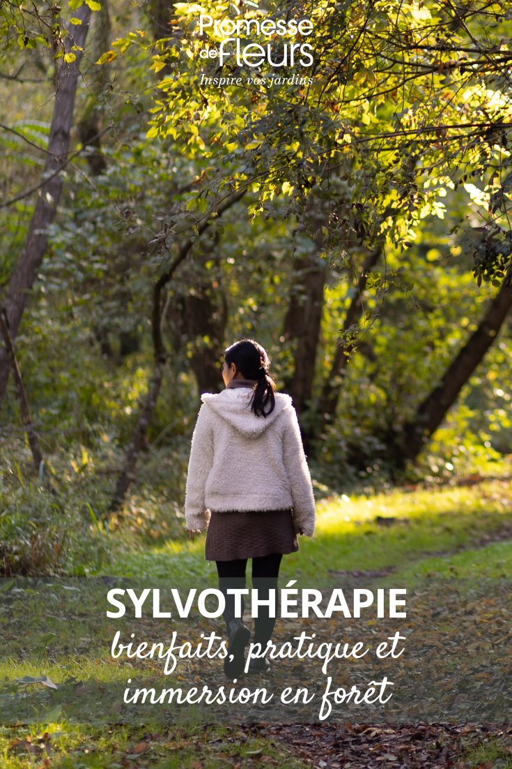 Die Vorteile von Waldspaziergängen
