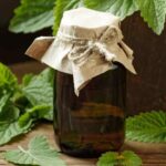 Melissenwasser selbst herstellen?