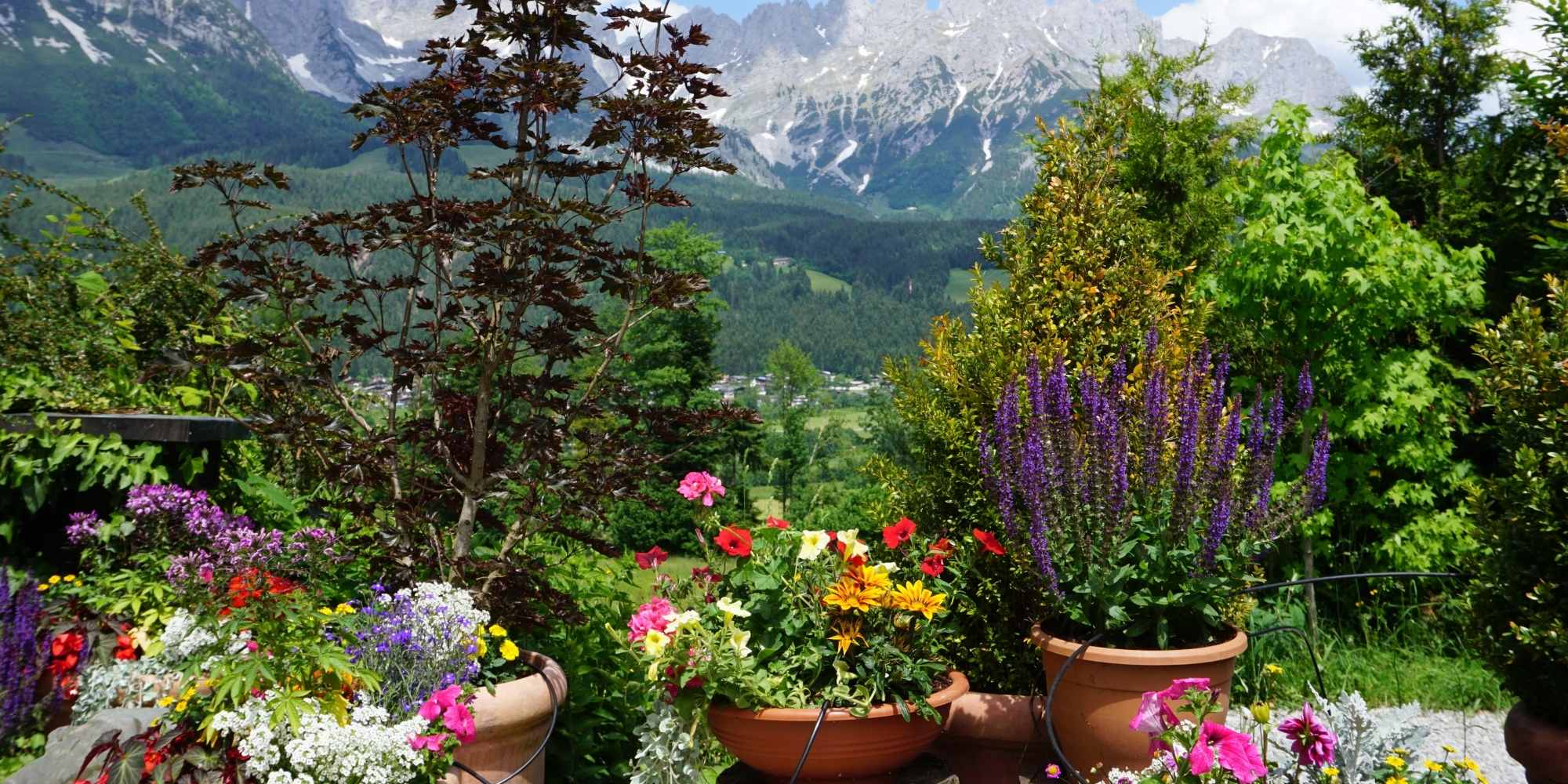 Garten in Höhenlage: Pflanzenwahl, Fehler vermeiden?