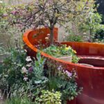 Chelsea Flower Show 2026: Gewinner und Favoriten