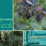 Trendfarbe 2026 „Transformative Teal“: Petrol verwandelt den Garten