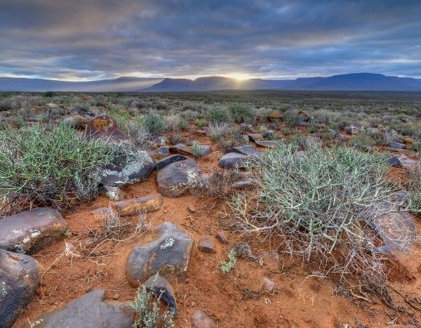 Garten der Antipoden: neuer Trend Trockengärten