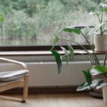 Hitzewelle: Welche Zimmerpflanzen kühlen das Haus?