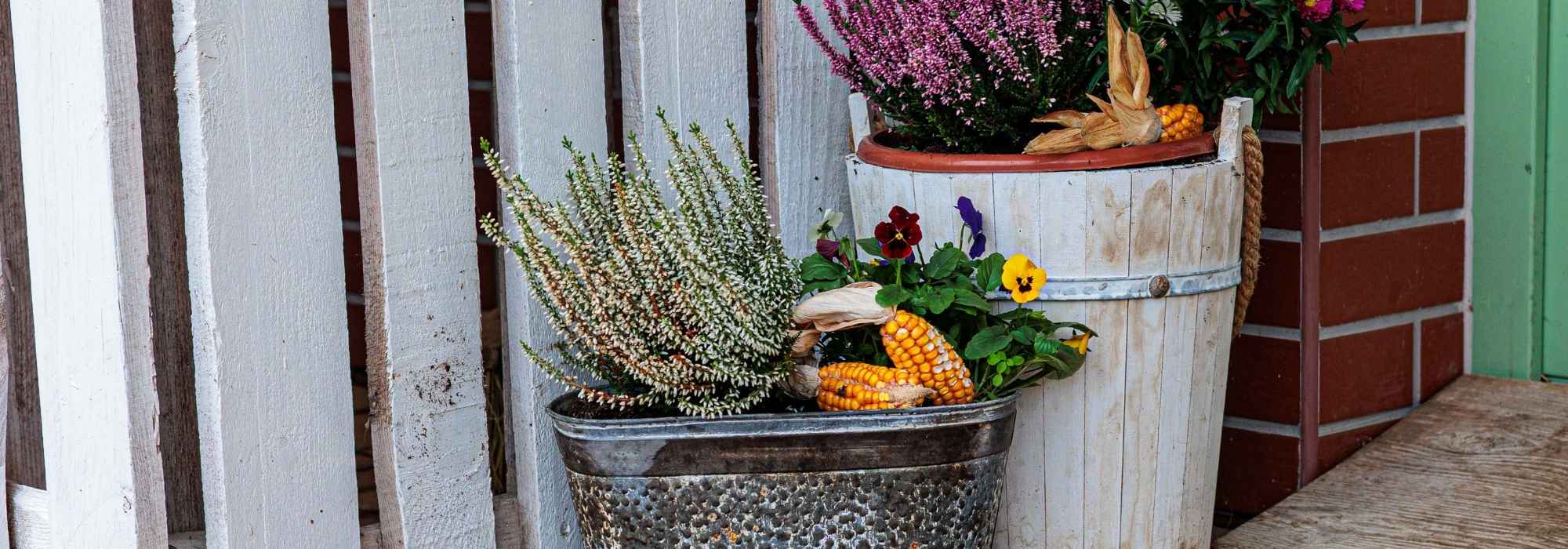 Stiefmütterchen im Herbst-Blumenkasten: 5 Ideen