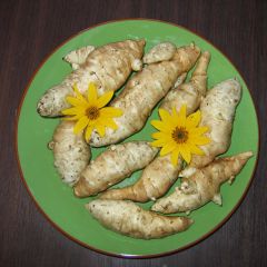 Topinambur Fuseau Culinaire - Helianthus tuberosus