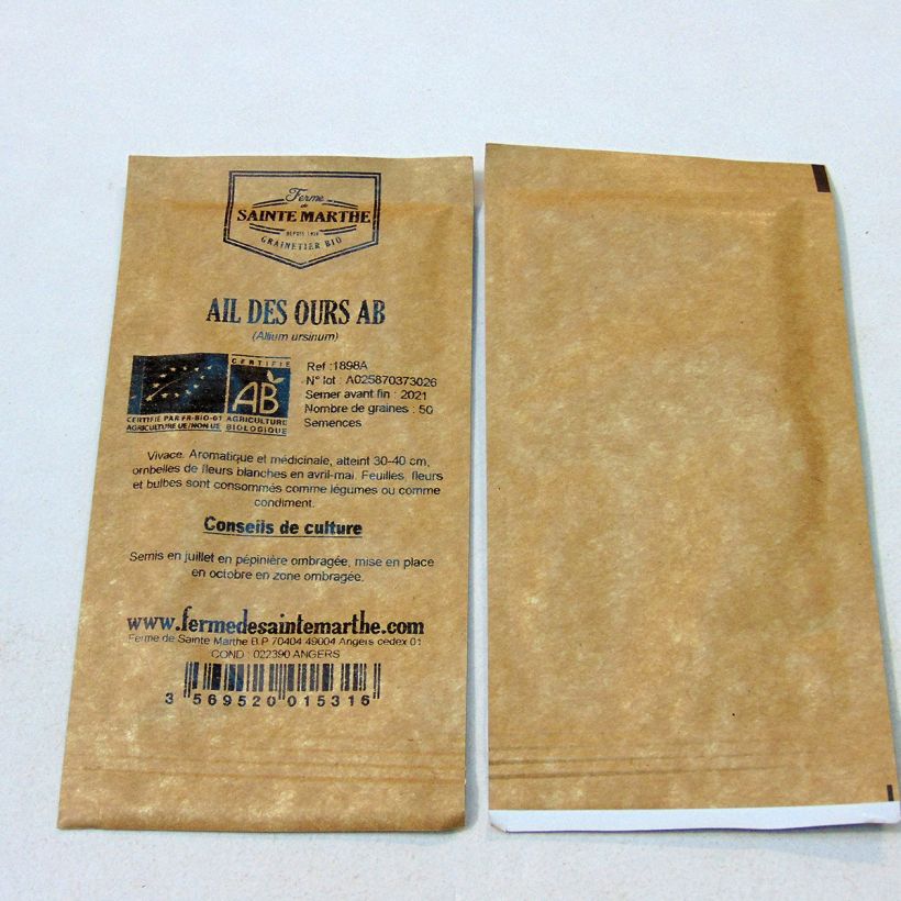 Beispiel eines Exemplars von Allium ursinum Bio- Ferme de Ste Marthe - Bärlauch die Tüte mit 50 Samen ungefähr wie geliefert
