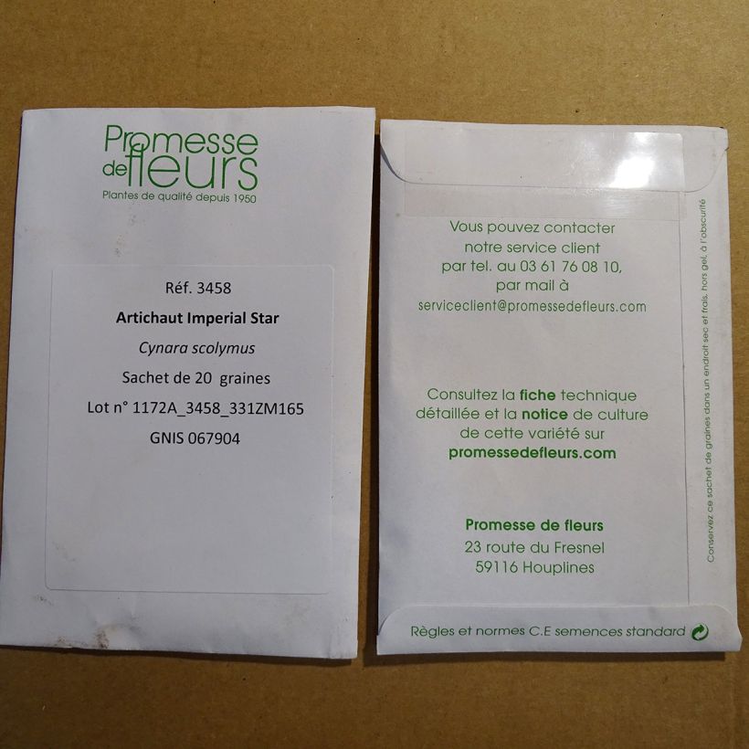 Beispiel eines Exemplars von Artischocke Imperial Star die Tüte mit 20 Samen ungefähr (1g) wie geliefert