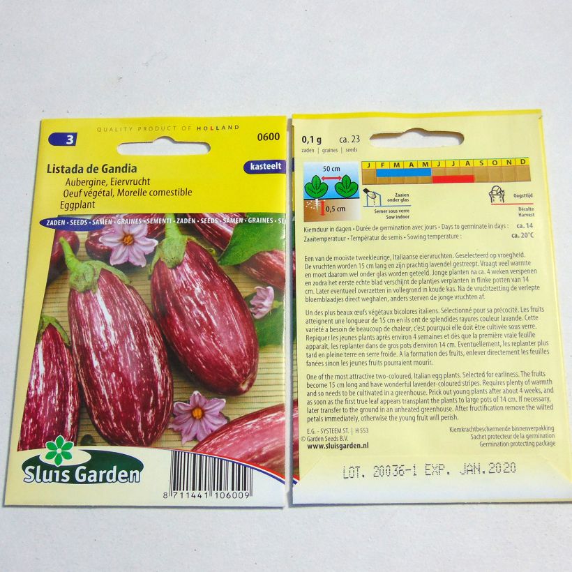 Beispiel eines Exemplars von Aubergine Listada de Gandia die Tüte mit 200 Samen ungefähr (1g) wie geliefert