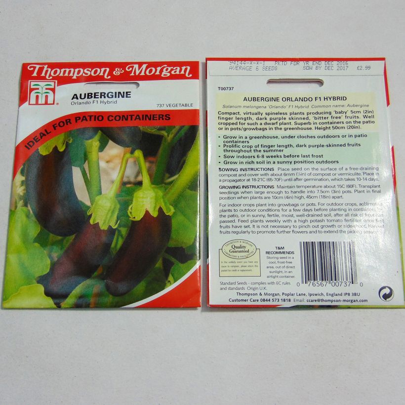 Beispiel eines Exemplars von Aubergine Orlando die Tüte mit 6 Samen ungefähr wie geliefert