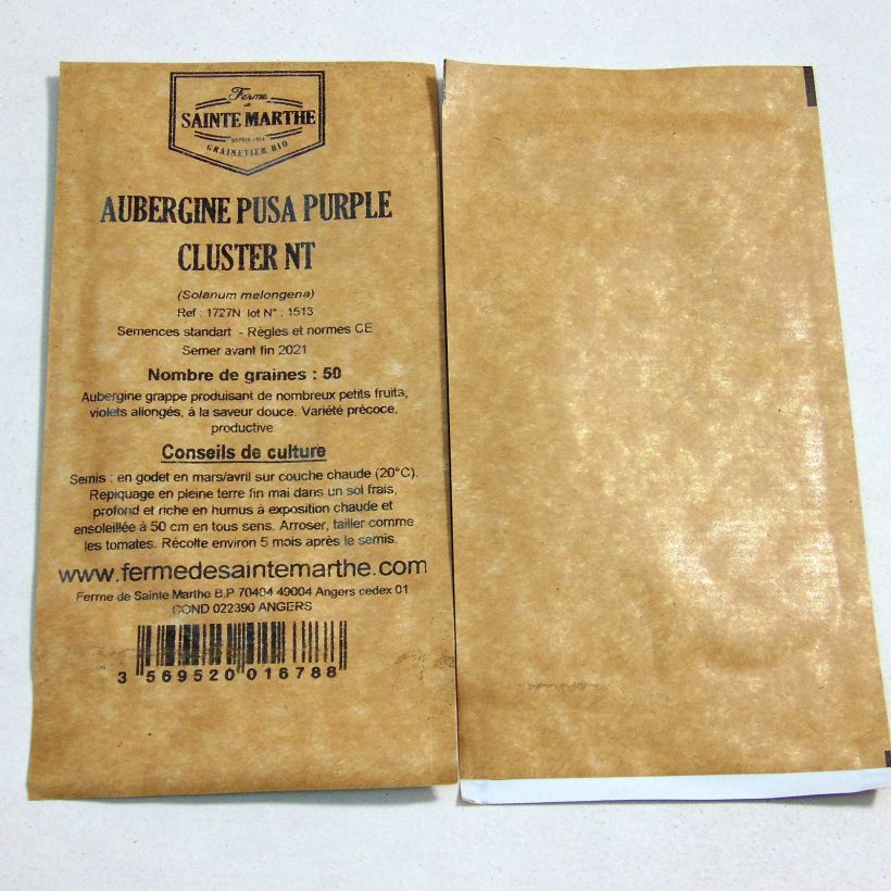 Beispiel eines Exemplars von Aubergine Pusa Purple Cluster die Tüte mit 50 Samen ungefähr wie geliefert