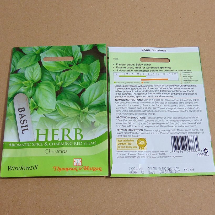 Beispiel eines Exemplars von Basilikum Christmas die Tüte mit 150 Samen ungefähr wie geliefert